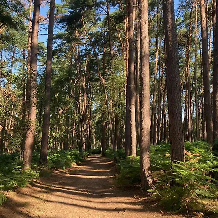 Prázdninový dům Charmantes Wolf Schaefer