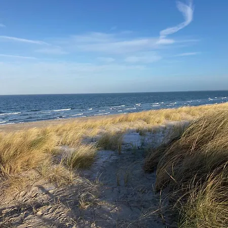 Charmantes Wolf Schaefer *