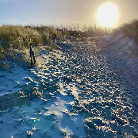 Charmantes Wolf Schaefer * Gelbensande