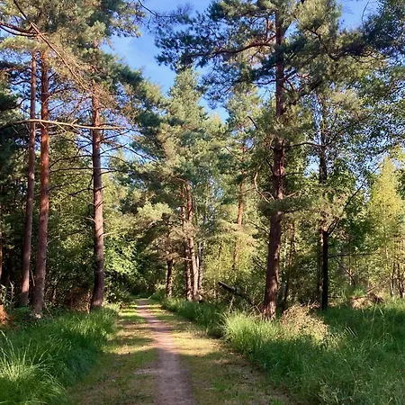 Charmantes Wolf Schaefer * Gelbensande