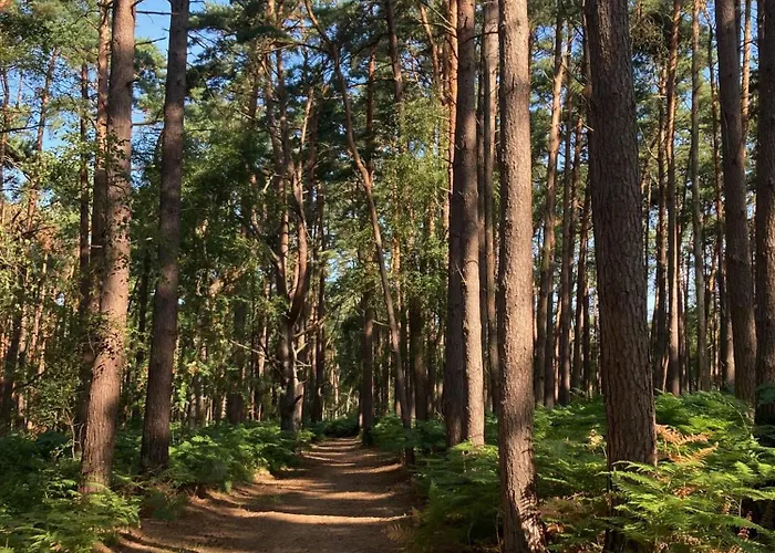 Holiday home Charmantes Wolf Schaefer