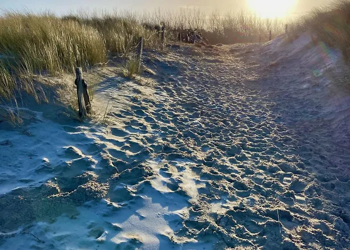 Charmantes Wolf Schaefer * Gelbensande